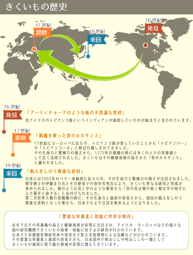 菊芋の歴史