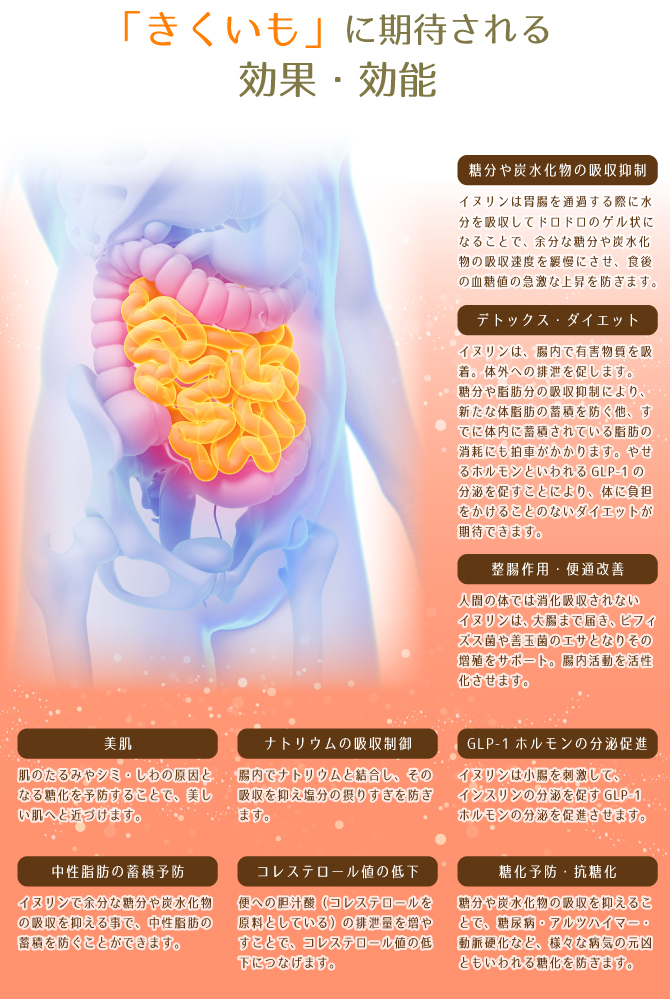 菊芋に期待される効果・効能