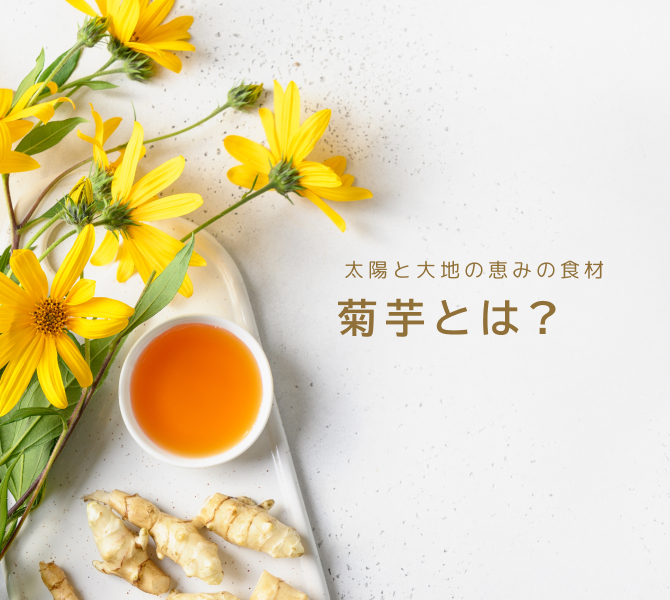 菊芋について